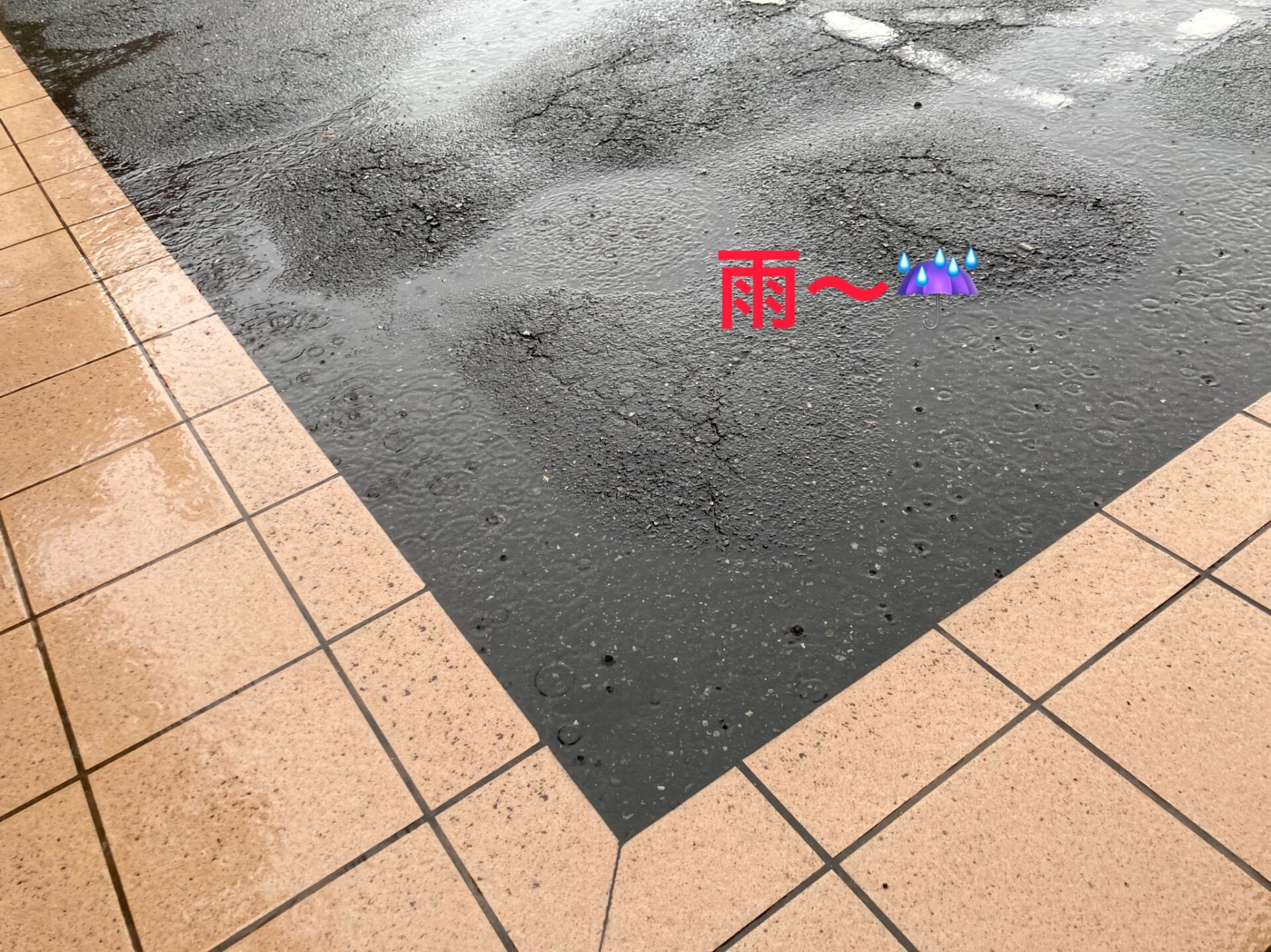 ☔雨☔