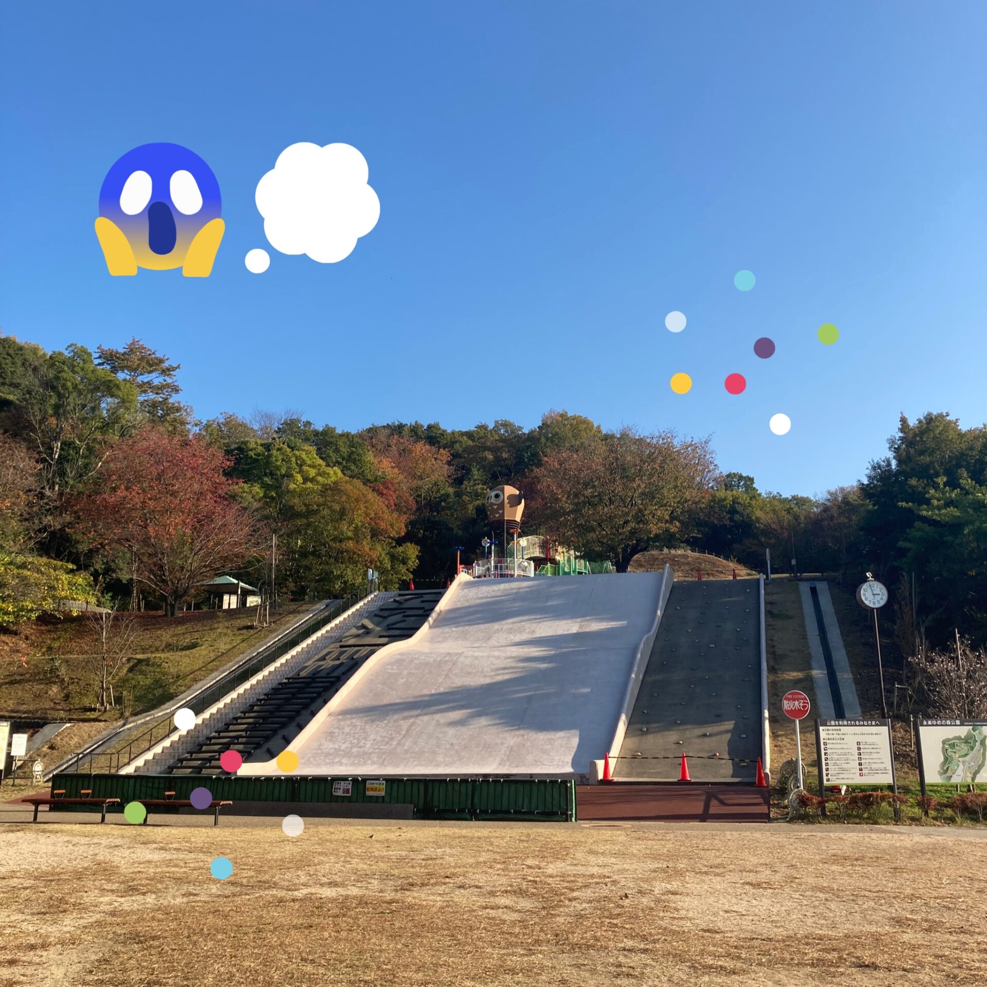 ゆめの森公園🔥